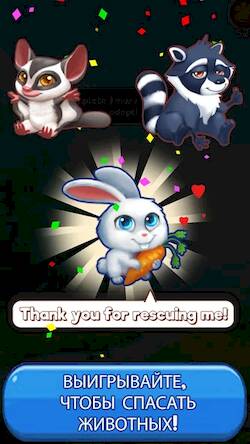 Скачать взломанную Bingo: Free the Pets [Бесплатные покупки] MOD apk на Андроид