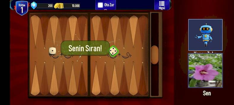 Скачать взломанную Kameralı Tavla [Бесплатные покупки] MOD apk на Андроид