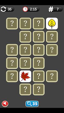 Скачать взломанную Matching Pairs - Memory Game [Много денег] MOD apk на Андроид