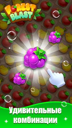 Скачать взломанную Forest Blast [Много денег] MOD apk на Андроид