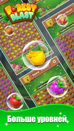 Скачать взломанную Forest Blast [Много денег] MOD apk на Андроид