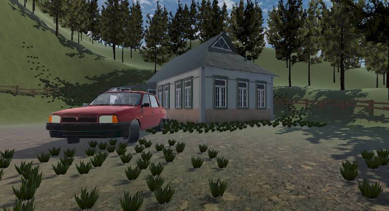 Скачать взломанную Romanian Driver [Мод меню] MOD apk на Андроид