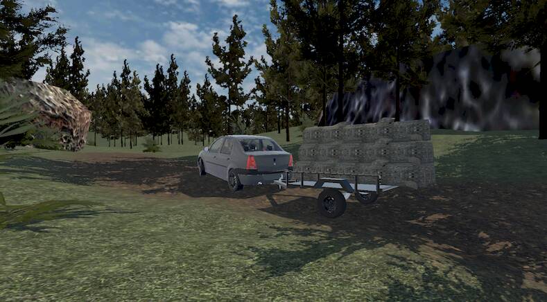 Скачать взломанную Romanian Driver [Мод меню] MOD apk на Андроид