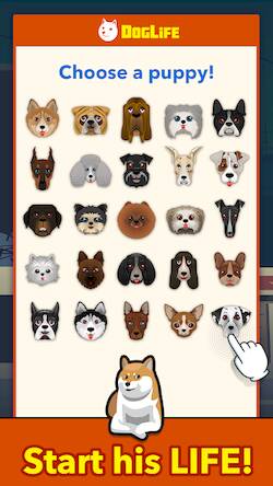 Скачать взломанную BitLife Dogs  [Мод меню] MOD apk на Андроид