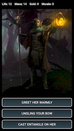 Скачать взломанную Dungeons and Decisions RPG [Много денег] MOD apk на Андроид