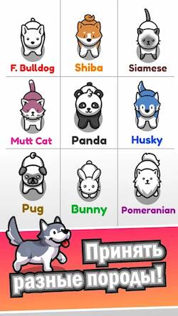 Скачать взломанную Pet idle [Много денег] MOD apk на Андроид