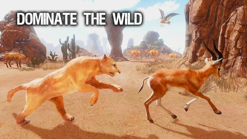 Скачать взломанную The Puma - Animal Simulator [Мод меню] MOD apk на Андроид