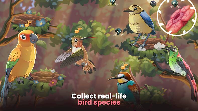 Скачать взломанную Bird Kind [Бесплатные покупки] MOD apk на Андроид