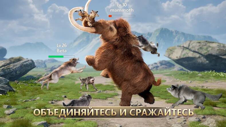 Скачать взломанную Wolf Game: Wild Animal Wars [Бесплатные покупки] MOD apk на Андроид