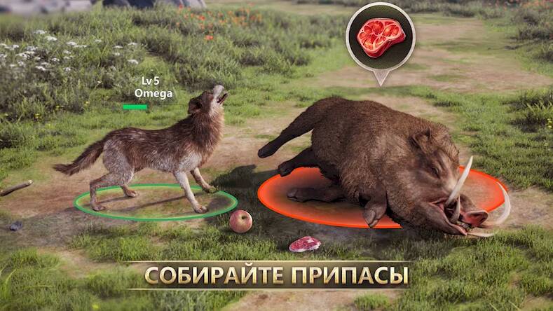 Скачать взломанную Wolf Game: Wild Animal Wars [Бесплатные покупки] MOD apk на Андроид