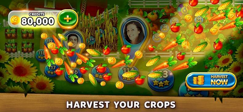 Скачать взломанную Solitaire Harvest - Tripeaks [Много денег] MOD apk на Андроид
