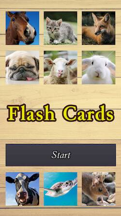 Скачать взломанную Flash Cards [Бесплатные покупки] MOD apk на Андроид