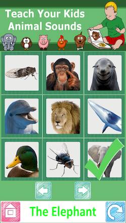 Скачать взломанную Teach Your Kids Animal Sounds [Много монет] MOD apk на Андроид