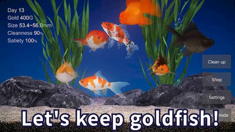 Скачать взломанную Goldfish 3D Relaxing Aquarium [Много монет] MOD apk на Андроид