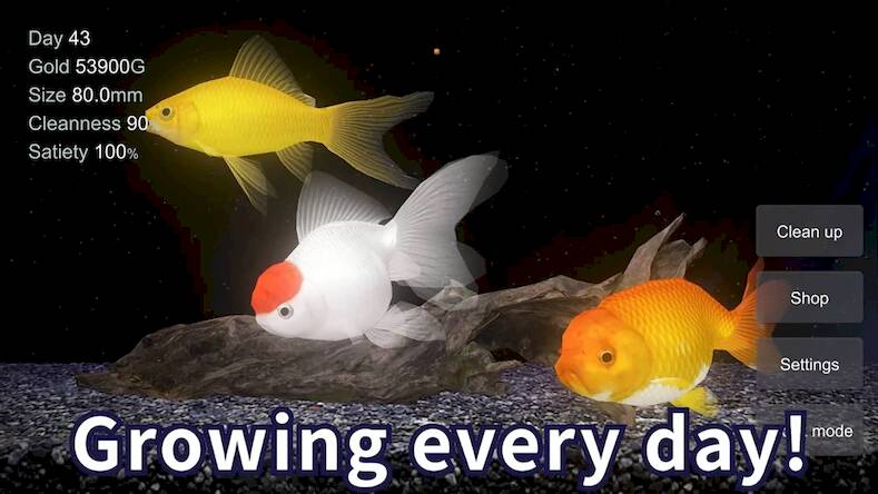 Скачать взломанную Goldfish 3D Relaxing Aquarium [Много монет] MOD apk на Андроид