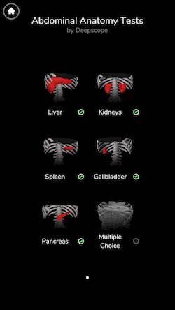 Скачать взломанную Deepscope Ultrasound Simulator [Бесплатные покупки] MOD apk на Андроид